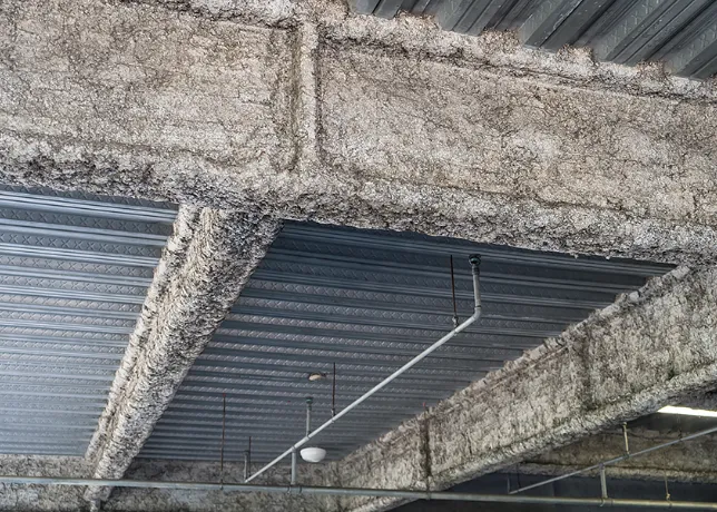 アスベスト調査士イメージ